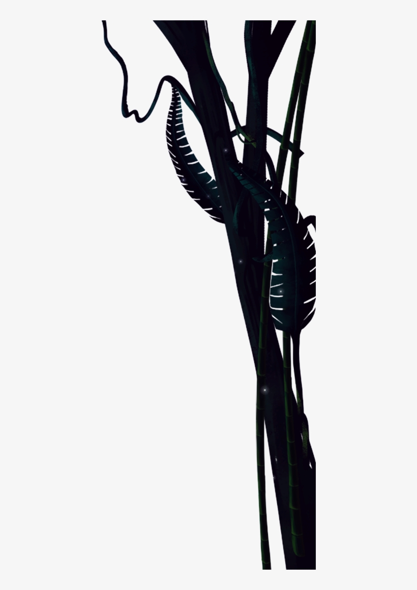 Now Till 19 Feb - Tree, transparent png #6205307