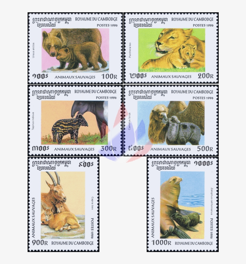 Forest Animals And Her Babies - Cambodia, transparent png #6209050