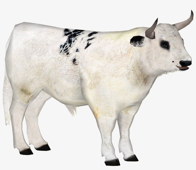 Whitepark2 - Wiki, transparent png #6211896