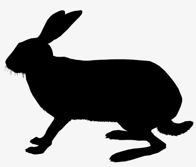 Domestic Rabbit Clipart Domestic Rabbit Hare Whiskers - Clip Art, transparent png #6212147