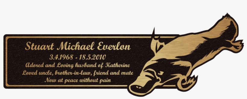 Platypus, transparent png #6212807