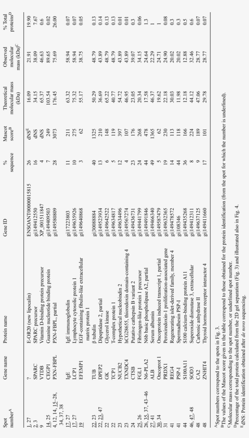 Identification Of Proteins From Platypus Caudal Epididymal - Document, transparent png #6212906