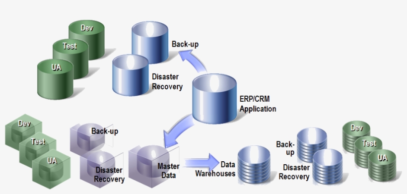 Your Critical Company Data And Database Infrastructure - Management, transparent png #6213438