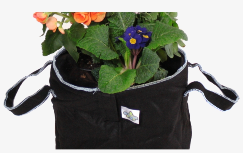 Burnersfabric Burnerfabric Pots - Spring Pot, 5 Gal. Fabric Garden Planting Pot, Black, transparent png #6213756