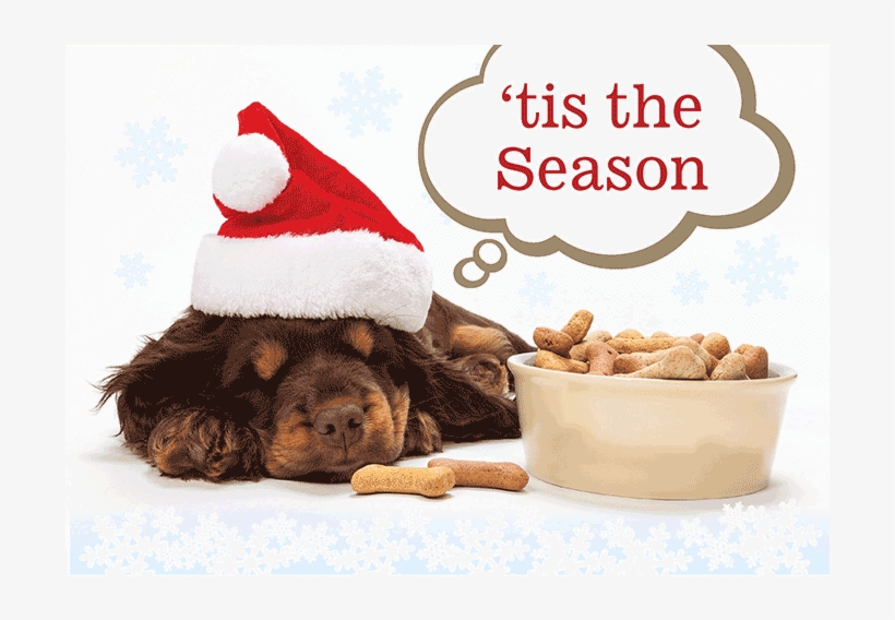 Peace & Joy Dog Bones - Puppy, transparent png #6213898