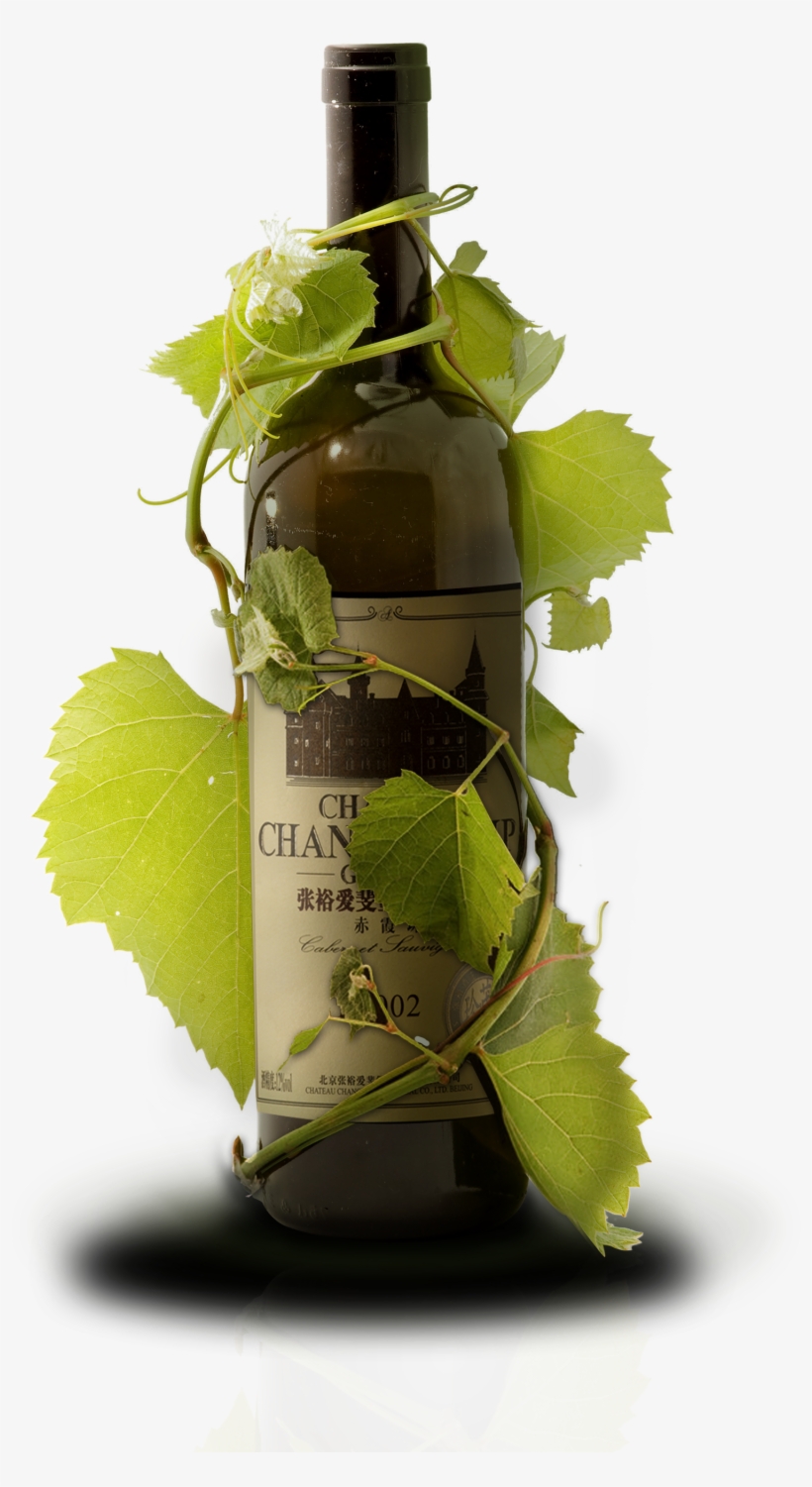 Red Poster Grapes Material Transprent Png Free - Red Wine, transparent png #6214651