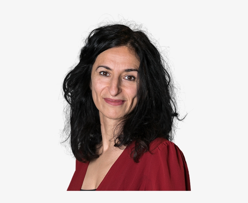 The Harassment Of Sam Dastyari Is Something We Recognise - Annika Nordgren Christensen, transparent png #6218450