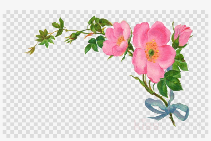 Love Flower Poetry In Urdu, transparent png #6219515