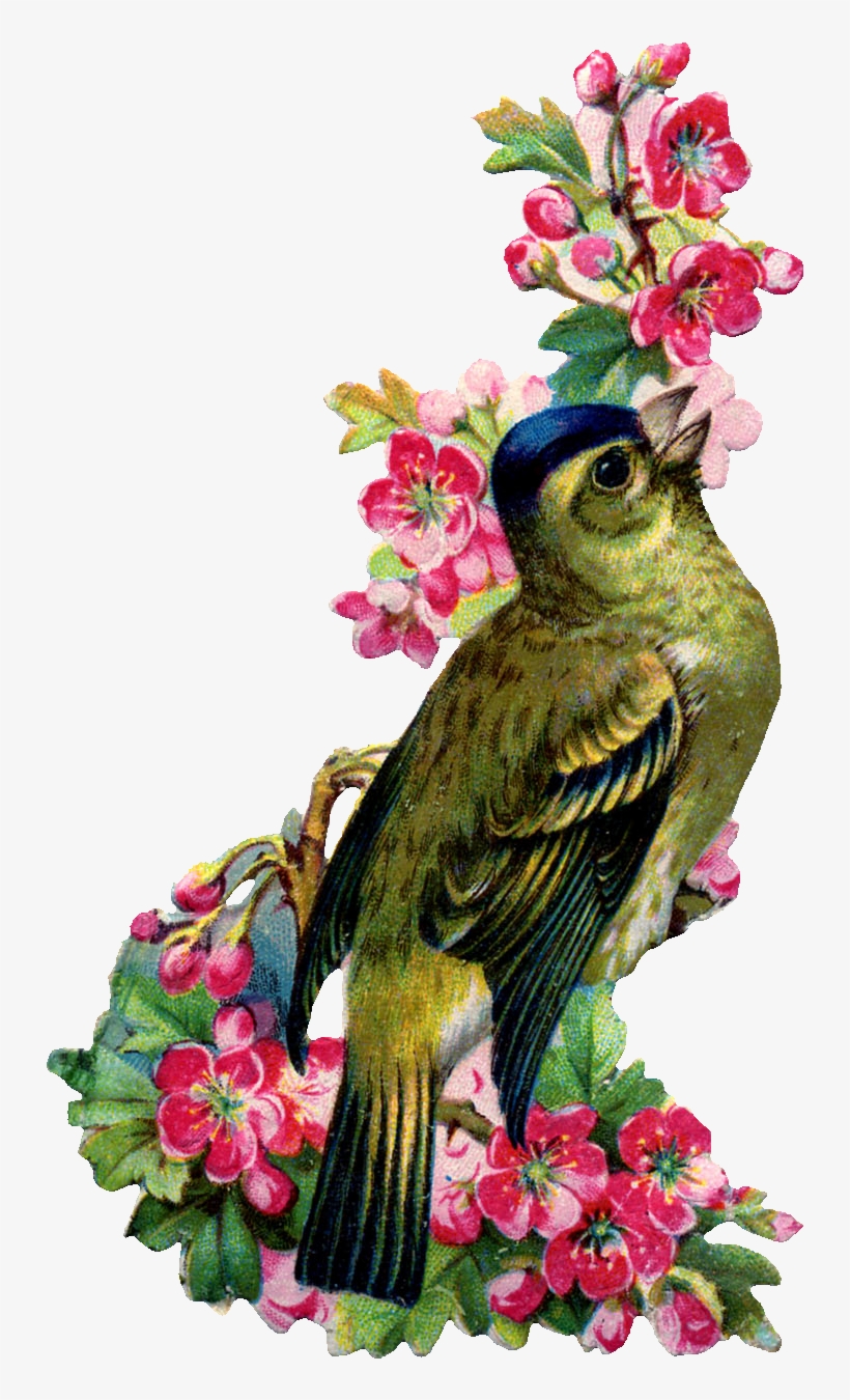 A Couple Of Vintage Images For Todaythe Bird And Flowers - Mothers Day To Cousin, transparent png #6219679