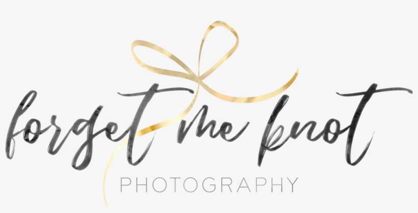 Ohio Wedding Photographer - Ohio, transparent png #6223950