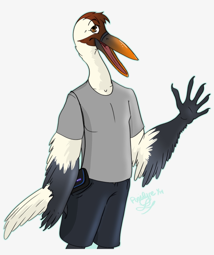 Brown Pelican, transparent png #6224076