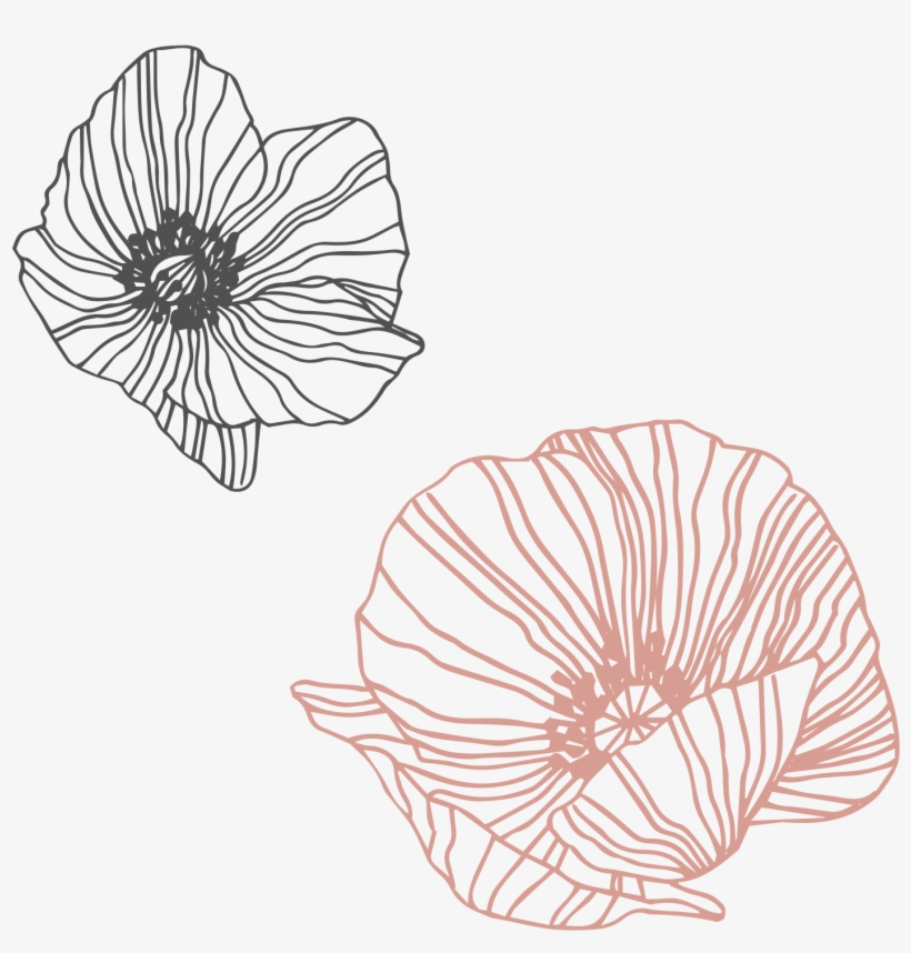 Flower, transparent png #6225069