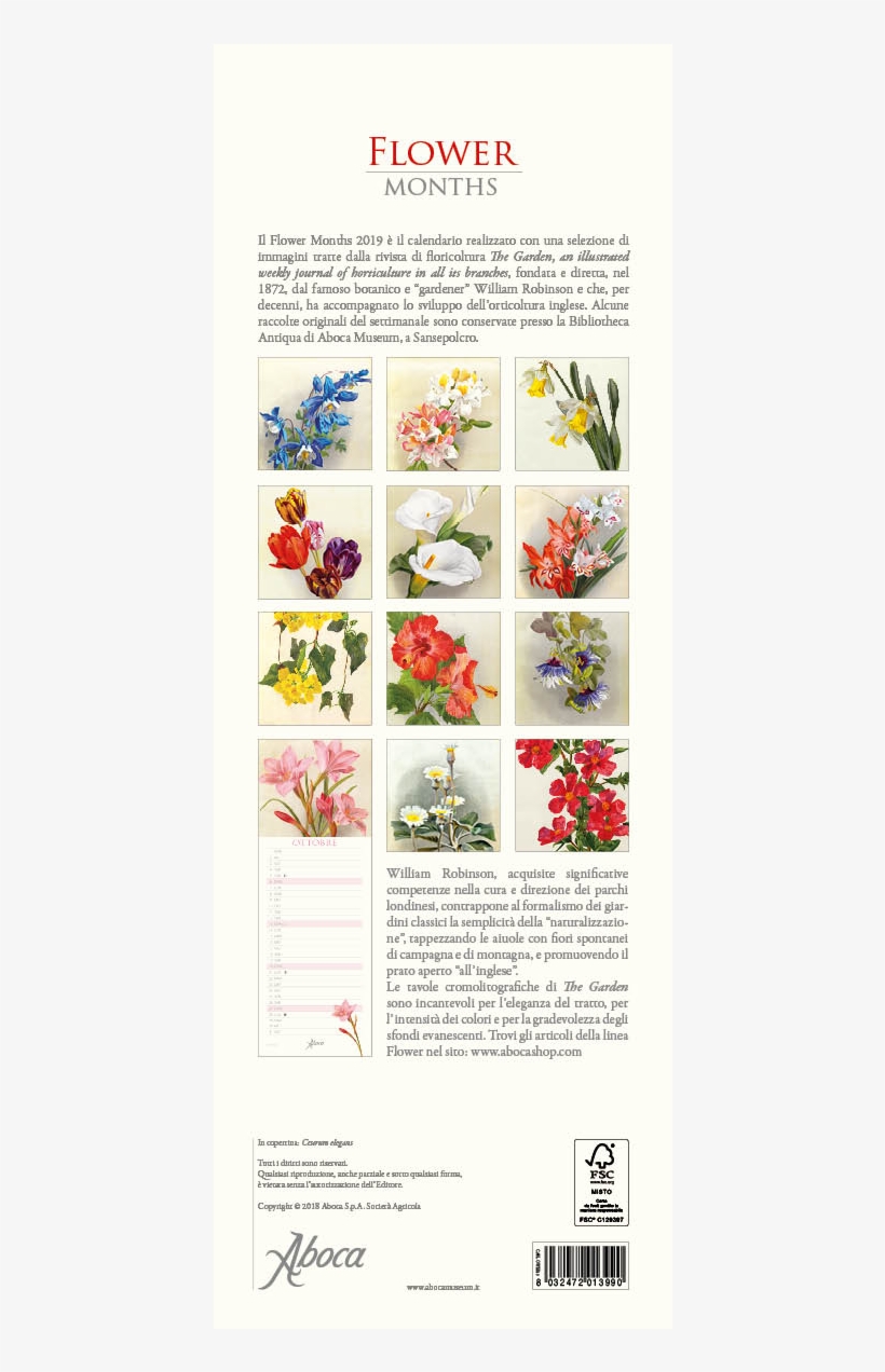 Picture Of Flower Months - Floral Design, transparent png #6225167