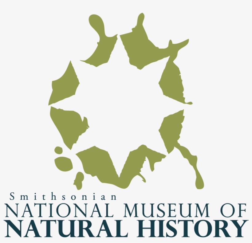 While The Logo Is Only Loosely Based On Grunge And - Graphic Design, transparent png #6226722