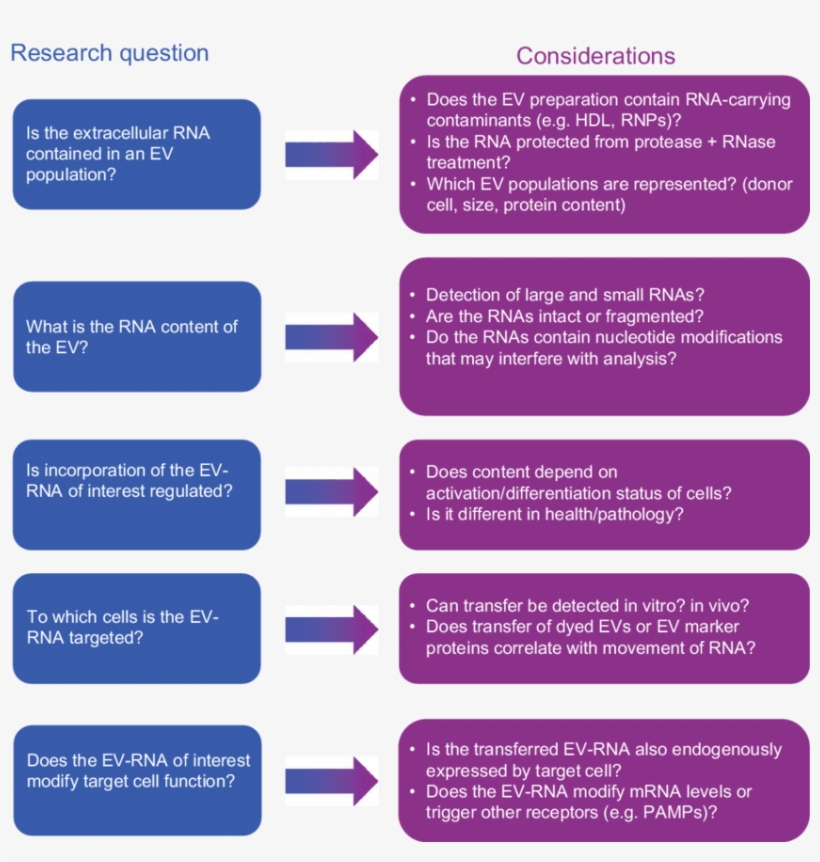 Considerations For Analysing The Nature And Function - International Society For Extracellular Vesicles, transparent png #6227637