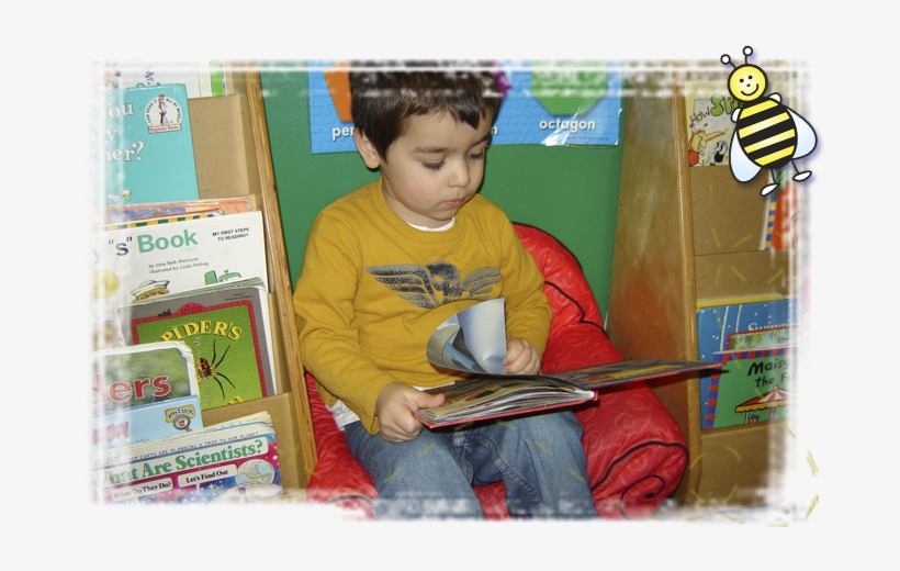 General Program Features - The Photoreading Whole Mind System, transparent png #6230500