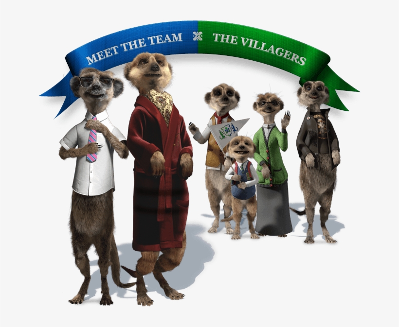 Compare The Meerkat Names - Compare The Meerkat, transparent png #6231290