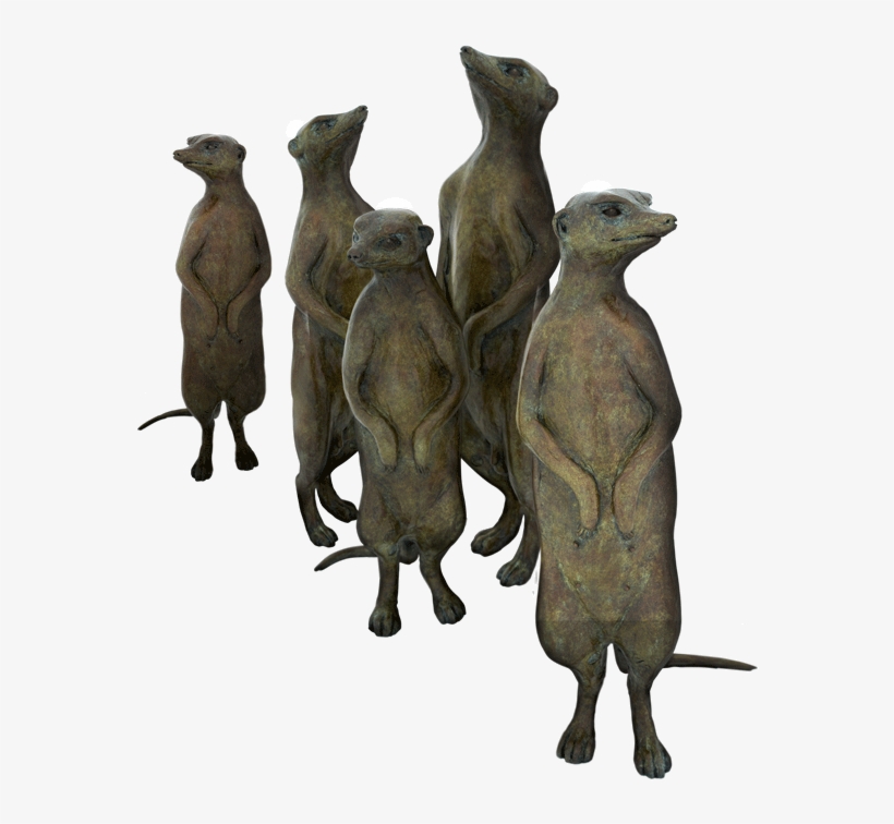 Meerkat Png, transparent png #6232398