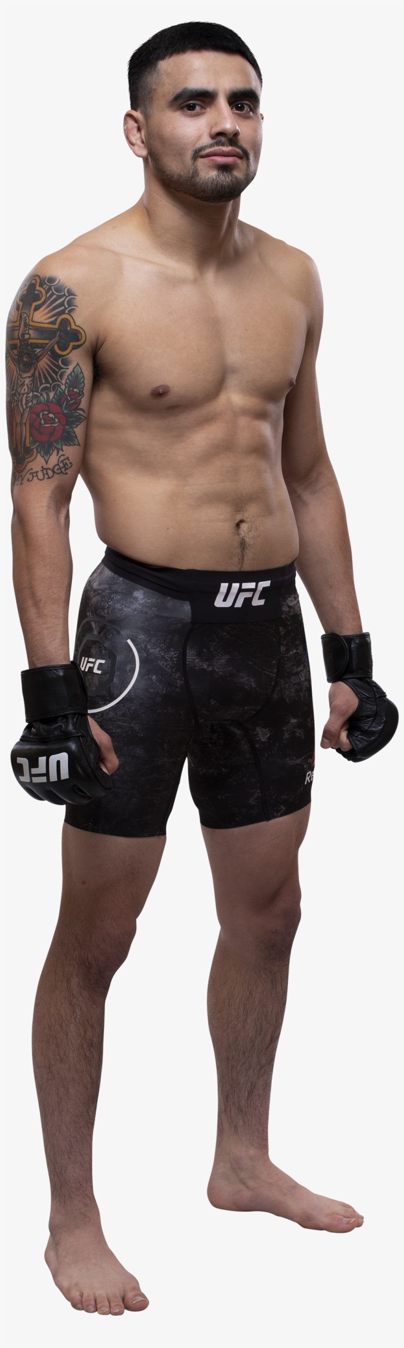 Ultimate Fighting Championship, transparent png #6232745