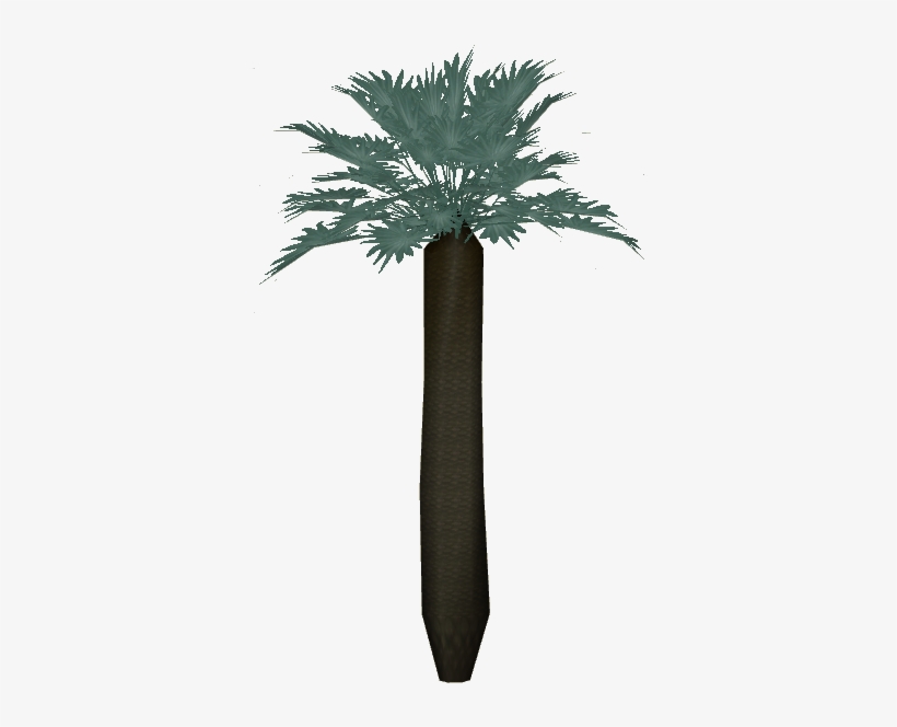 Mexican Blue Palm, transparent png #6233158