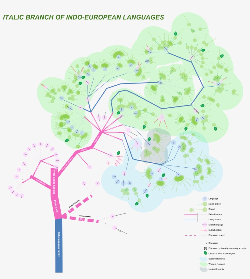 Italic Languages Tree - Italic Language Tree, transparent png #6233697