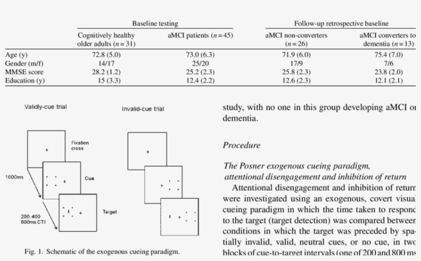Demographics Of Study Population - Document, transparent png #6235169