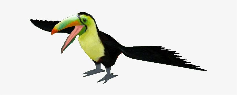 Keel-billed Toucan - Keel Billed Toucan Png, transparent png #6235735