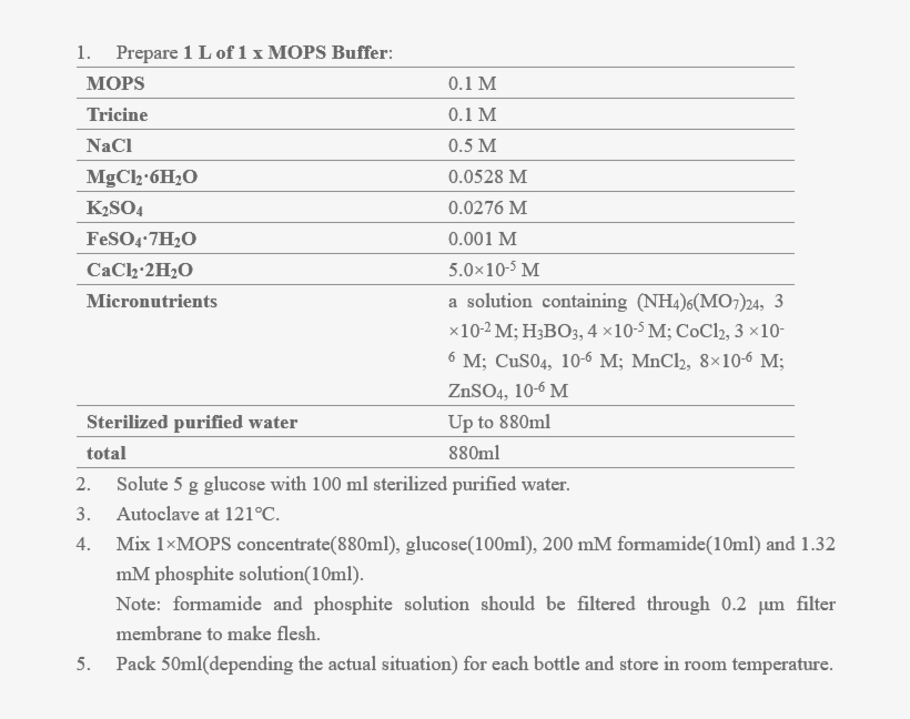 Preparation Of Mops Broth, Agar And Semi-solid Lb Medium - Document, transparent png #6237474