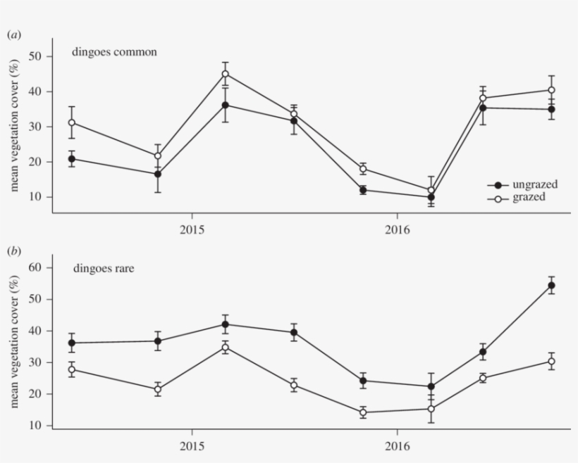 Mean Percentage Vegetation Cover In 'ungrazed Exclosures' - Dingo, transparent png #6238227