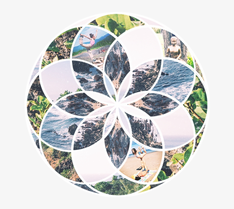 Cj Yoga Maine - Maine, transparent png #6240416