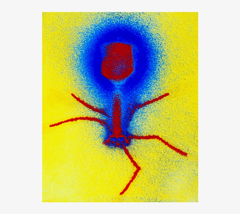 Walter Br Phage2, transparent png #6241107