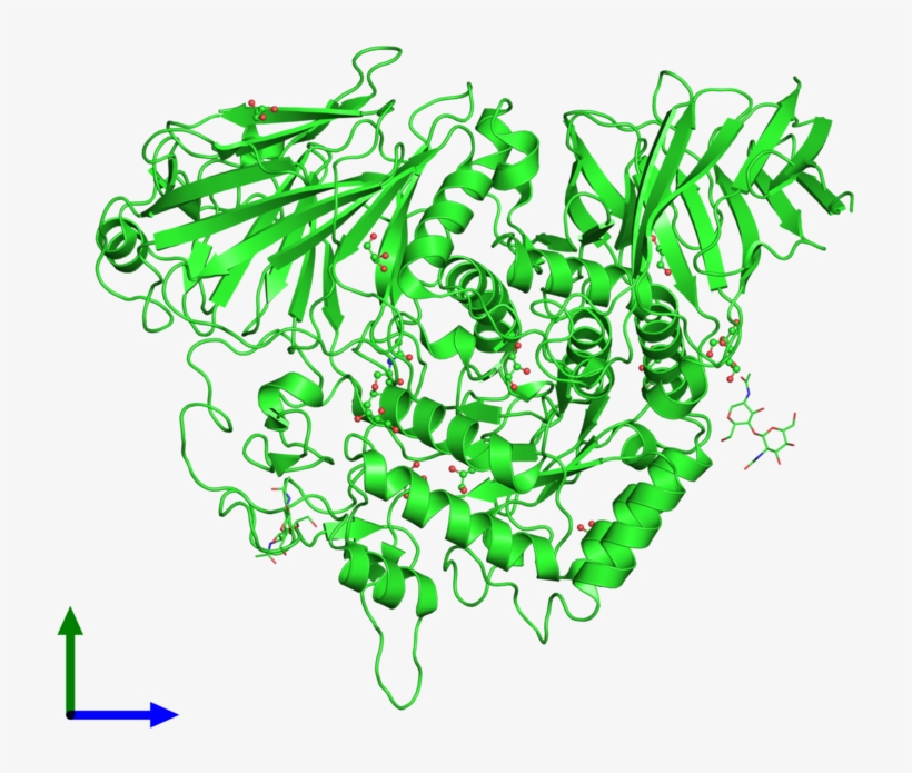 Pdb 2qly Coloured By Chain And Viewed From The Front - Database, transparent png #6243290