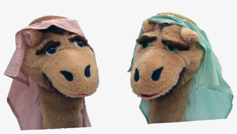 Camels Pair Trimmed - Stuffed Toy, transparent png #6245720