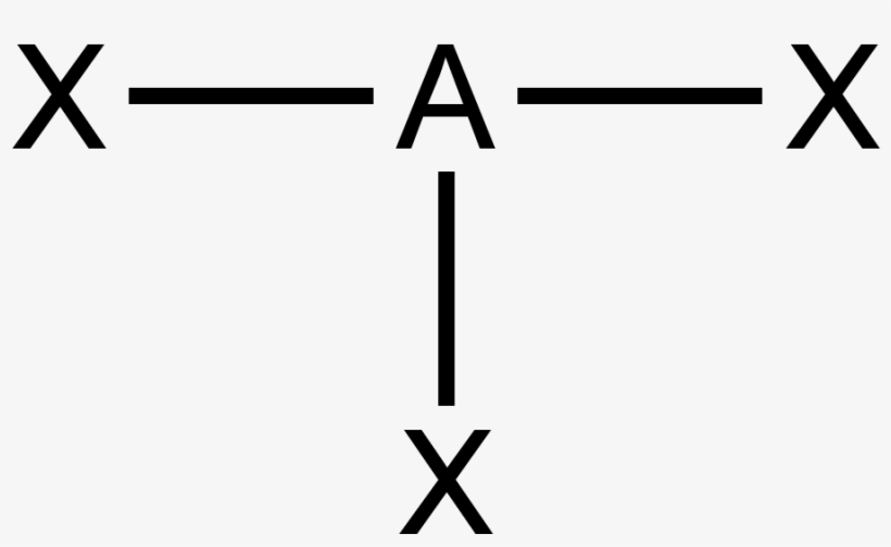 Dosage Compensation In Drosophila, transparent png #6247397