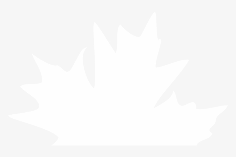 Leaf, transparent png #6247704