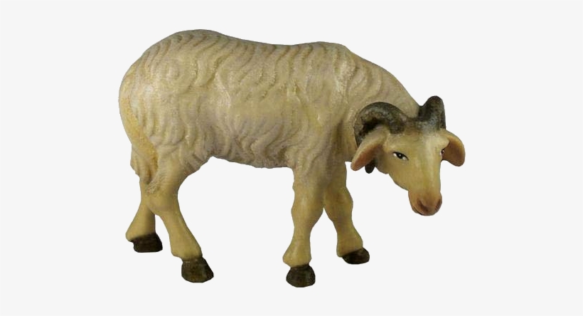 Wood, transparent png #6251359