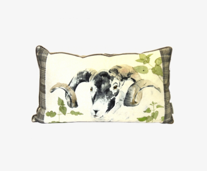 Watercolour Ram Cushion - Kilburn & Scott Ram Watercolour Cushion In Size, transparent png #6252285