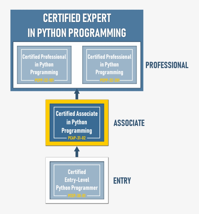 Becoming Pcap Certified Ensures That The Individual, transparent png #6253273