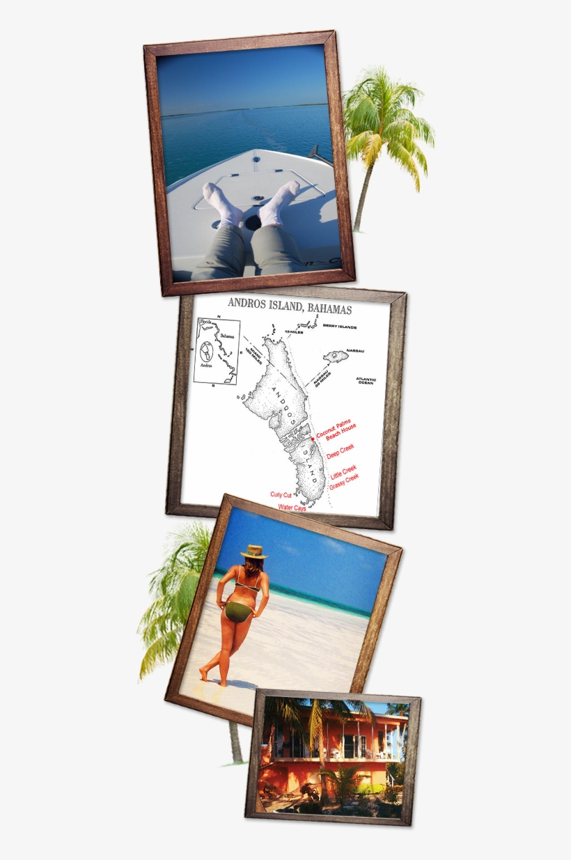 Professional Guides Will Wisk You Away For Ultimate - New York, transparent png #6254374
