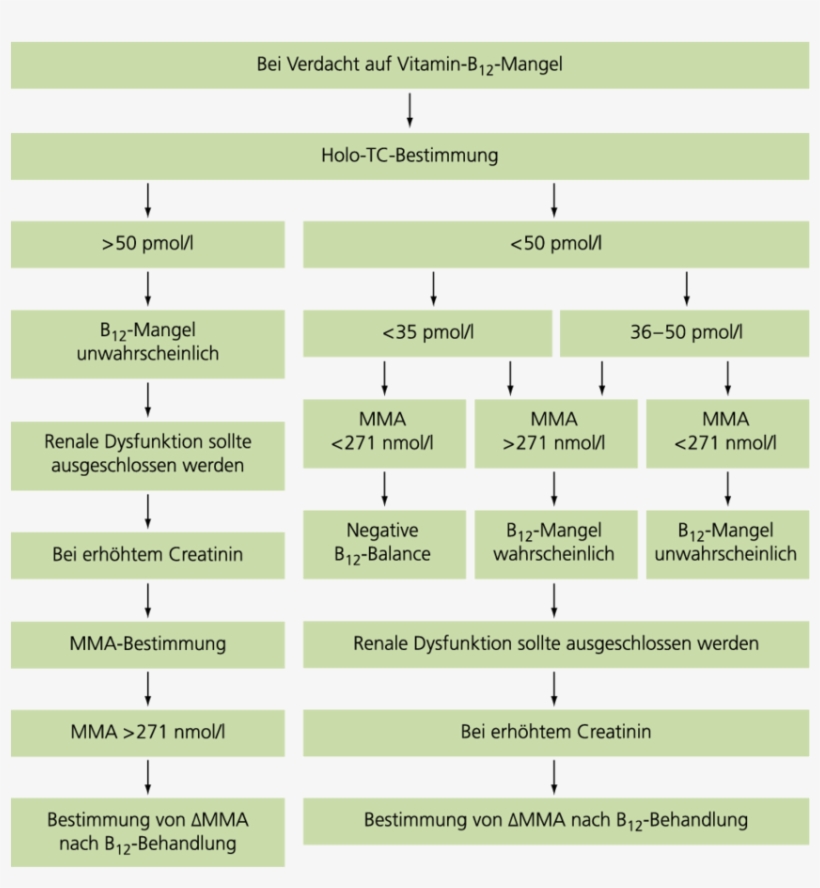 Laborchemisches Vorgehen Bei Verdacht Auf Vitamin B - Methylmalonic Acid, transparent png #6257460