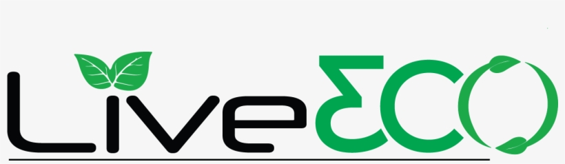 Eco-friendly Products And Accessories - Environmentally Friendly, transparent png #6257538