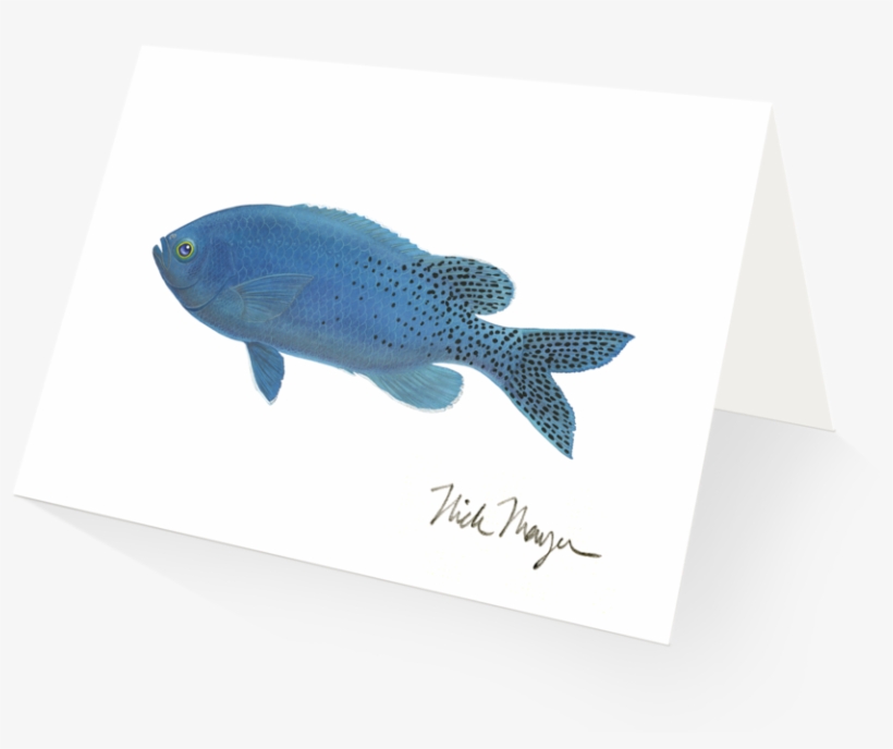 Blacksmith, transparent png #6257795