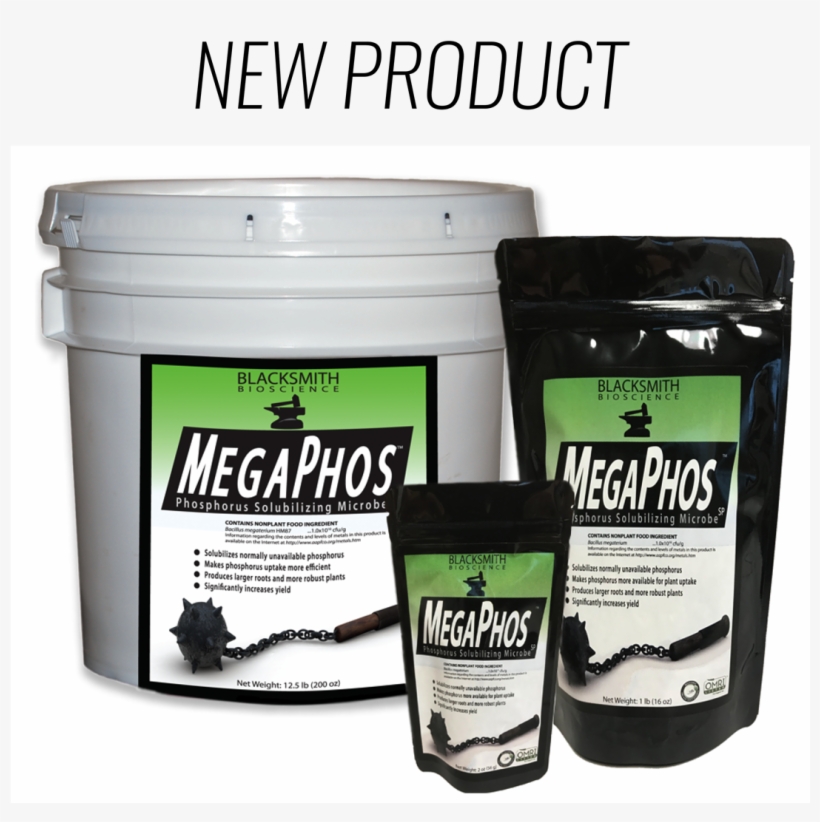 Shark, transparent png #6257898