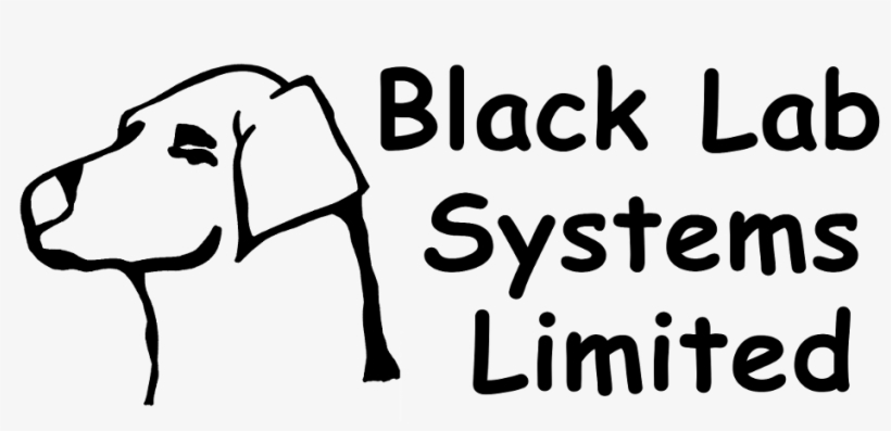 Creative Industrial Technology Solutions - Daphnia Circulatory System, transparent png #6258141