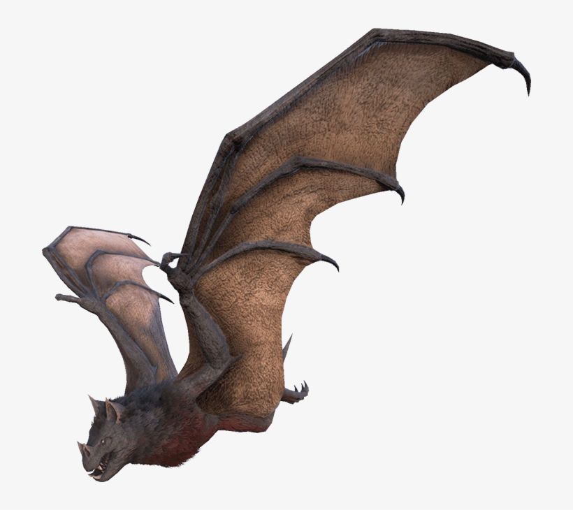 Hesperornis, transparent png #6258887