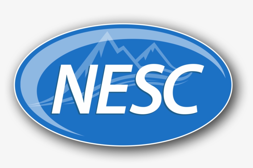 Logo Waves - National Executive Service Corps Of South Florida, transparent png #6260545