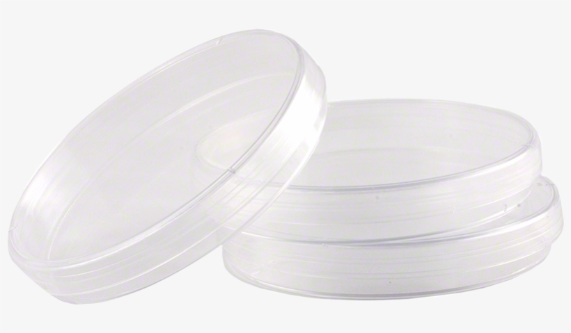 Presterilized Plastic Petri Dishes - Plastic, transparent png #6261049