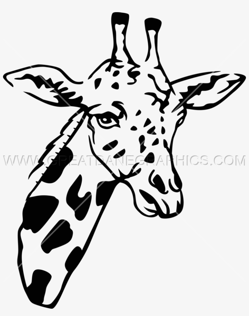 Clip Black And White Download Line Drawing At Getdrawings, transparent png #6262863