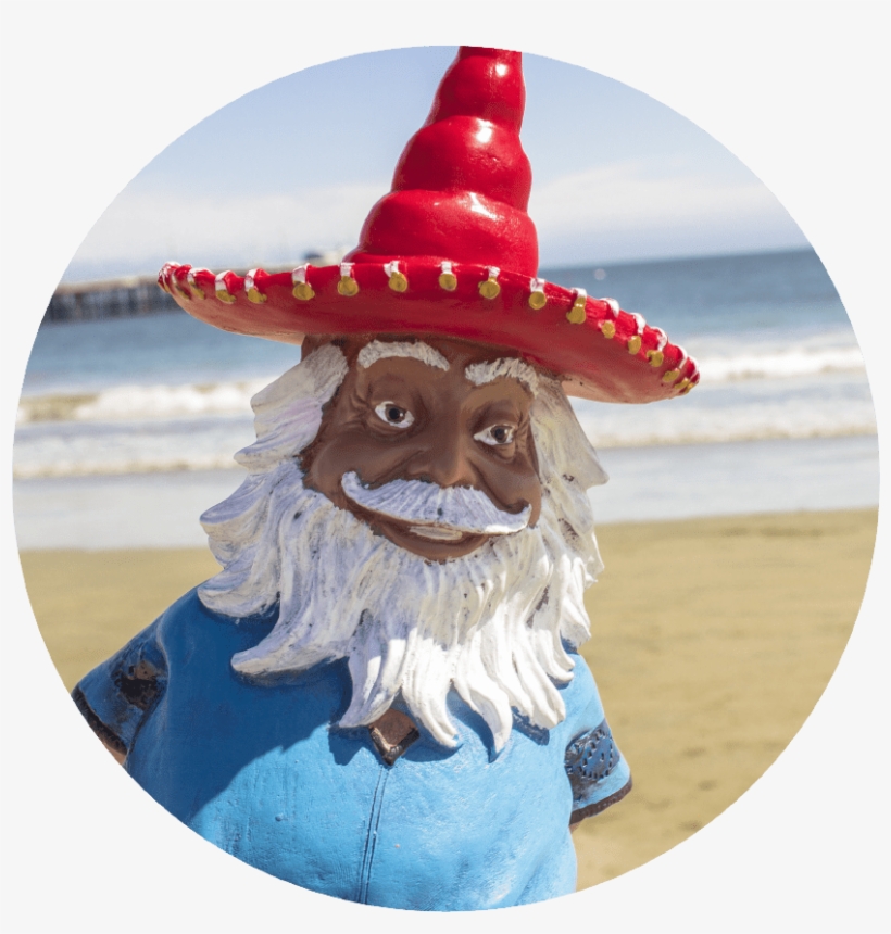 The Most Interesting Gnome In The World, transparent png #6263902