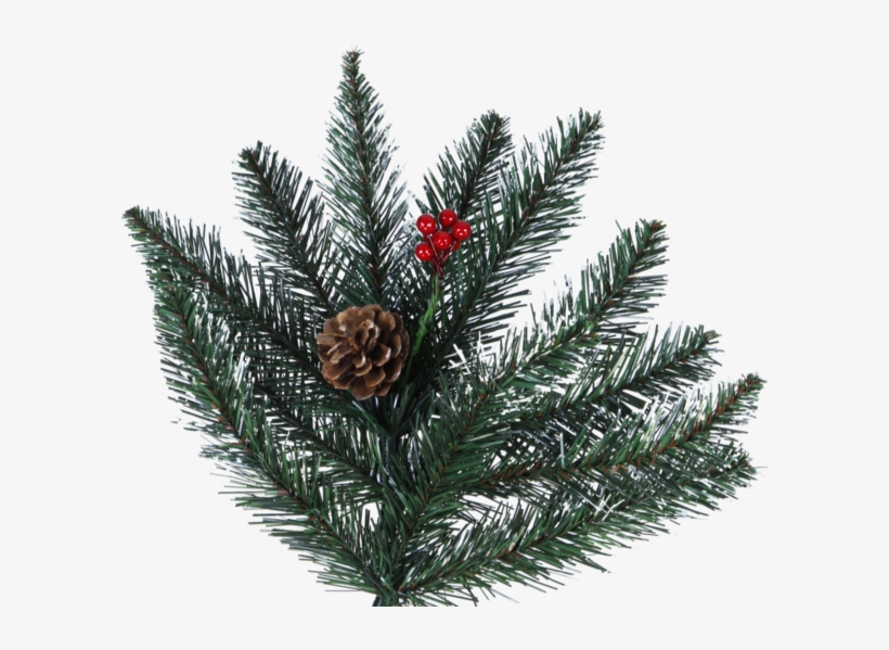 Christmas Tree Red Berry - Weihnachtsbaum Red Berry, transparent png #6265355